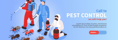 Pest Control